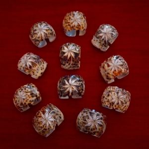 POTTERY BARN (Hand-Carved Design) TIGER  COWRIE SHELL (11) Napkin Rings